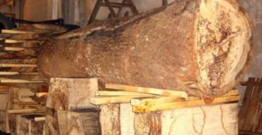 Сушка древесины в домашних условиях: виды древесины, технология сушки, методы, сроки сушки и советы домашних умельцев Как сушить лиственницу