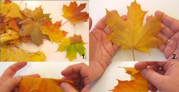 Цветы из листьев деревьев своими руками: инструкции
